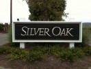 Paladium Silver on 3-d carved acrylic letters.  2"x8" frame has a "matte", and the redwood posts are 6"x6"